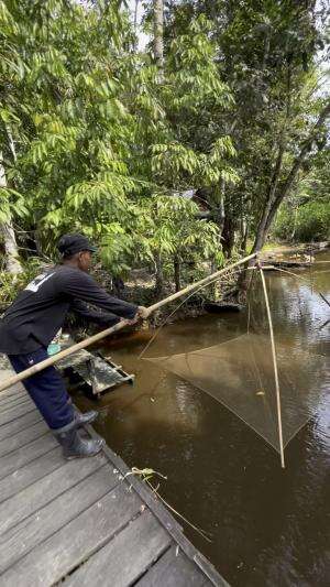 Sungai yang bersih banyak ikan
