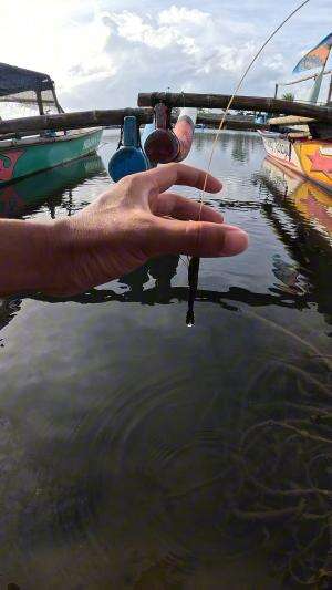 mancing udang dapat si hitam  #trending  #viral