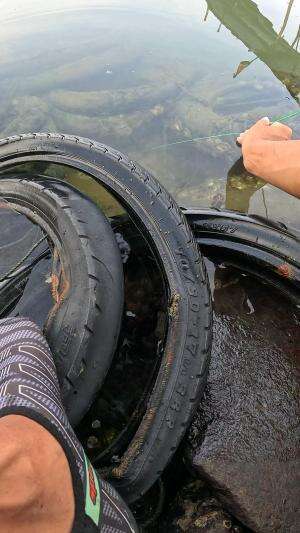 berburu udang pake cara tradisional #mancing #fishing #shrimp #udang #nelayan #laut #jaring #ikan #reelsviral #animals #skill #fyp #trending