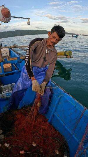 berburu udang bersama bapak #mancing #fishing #shrimp #udang #nelayan #laut #jaring #ikan #reelsviral #animals #skill #fyp #trending