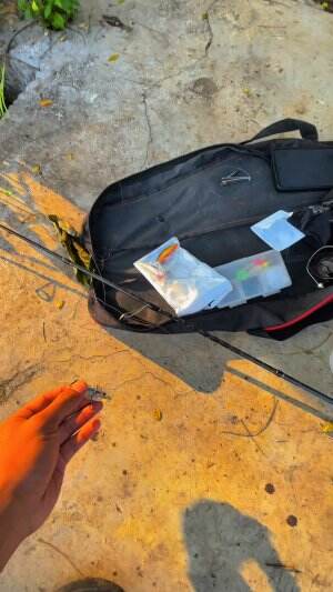 Mancing tanpa umpan