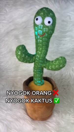 sogok kaktus goyang