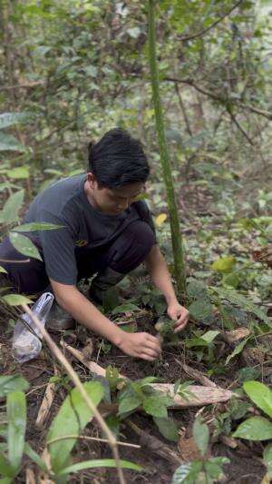 Jamur terenak didunia