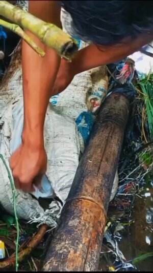 Kasihan banget kucing ini dibuang ditempat sampah