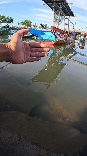 kita coba pancing #mancing #fishing #shrimp #udang #nelayan #laut #jaring #ikan #reelsviral #animals #skill #fyp #trending