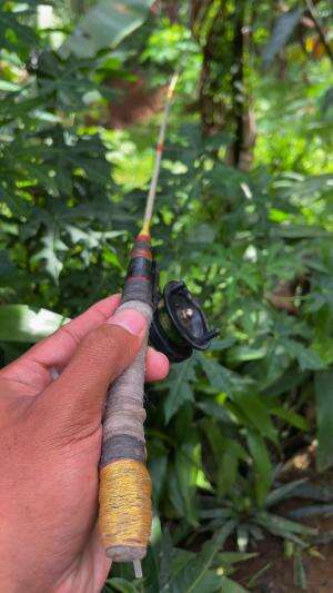 Dapat tugas nyelamatin ikan