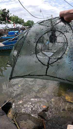 how to catch shrimp super fast and easy #fishing #traditional #usa #usareels #UnitedStates #unitedkingdom #denmark #canada