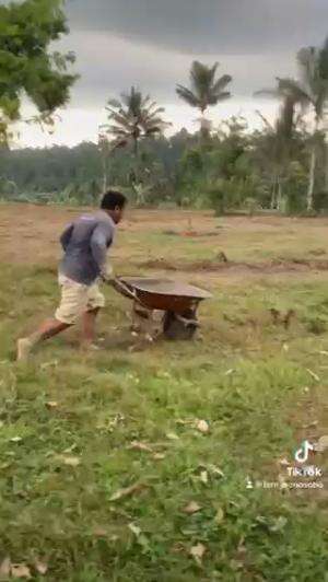 Wayahe wong mumet tampil