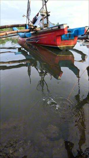 nangkap udang besar super cepat #fishing #shrimp #fish #sea #traditional #usareels #UnitedStates #reelsviral #skils #fyp #trending