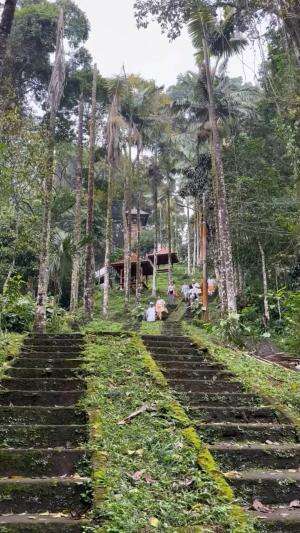 Keindahan pegunungan  #RCTIPlus 