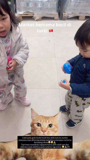 Ke market turki sama bocil #rctiplus