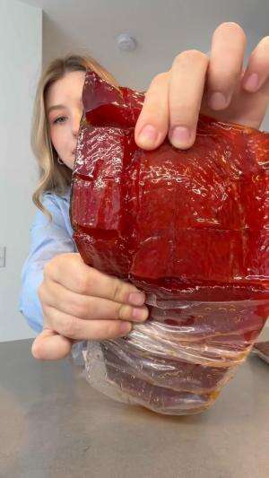 experiment bikin salmon candy berhasil atau gagal?