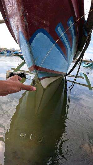 pancing udang hitam #mancing #fishing #shrimp #udang #nelayan #laut #jaring #ikan #reelsviral #animals #skill #fyp #trending