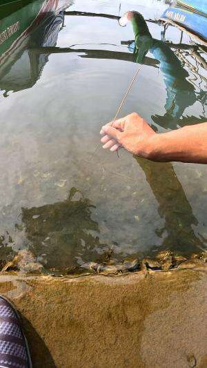 mancing udang tradisional