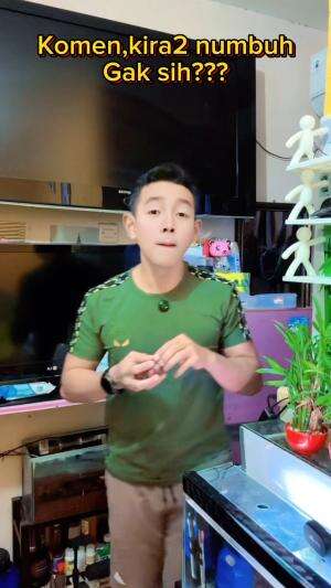 Tumbuh gak sih?  #dramabocil  #Viral  #Comedy 