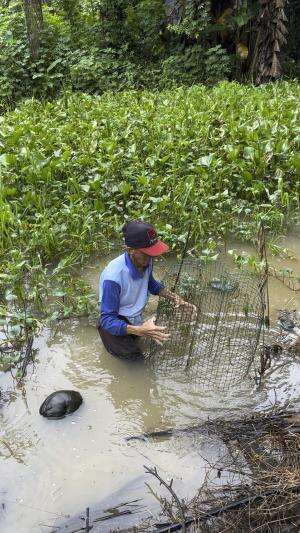 Dapat ikan puyau