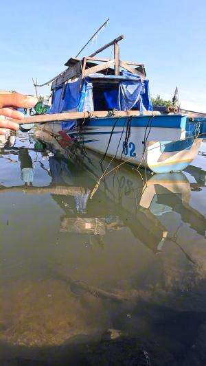 kurang gercep nangkapnya #mancing #fishing #shrimp #udang #nelayan #laut #jaring #ikan #reelsviral #animals #skill #fyp #trending