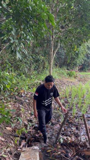 Dapat ikan toman