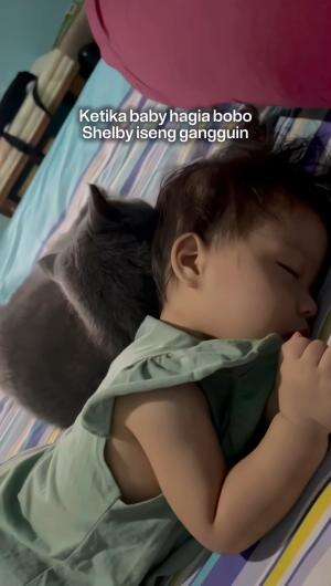 Hate love relationship cia dan shelby 🫣 #siblings #bayilucu #bayigemes 