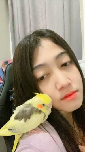 burung kesayangan
