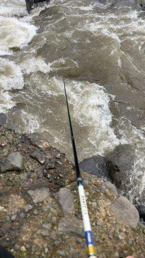 Panen ikan penghuni arusderas 