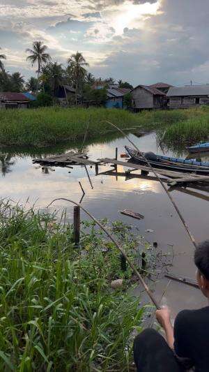 Strekk ikan bini haruan