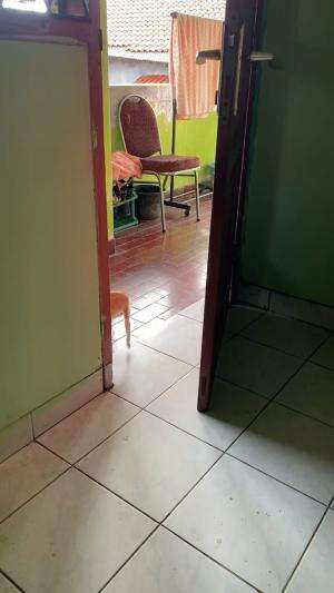 Siang siang main  #Kucing 