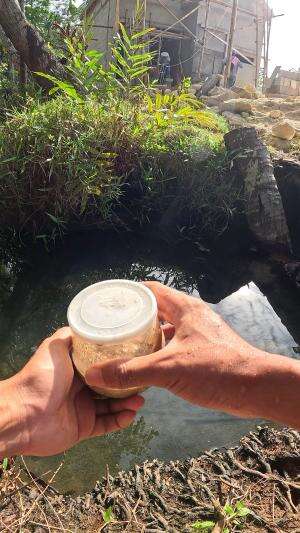 ide cerdas untuk menangkap udang