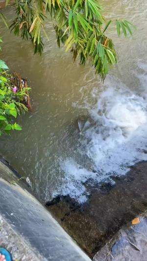 Pasang perangkap ikan