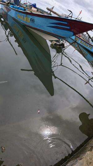 segampang ini mancing udang🦐 #udang #nelayan #laut #jaring #ikan #fbpro #reels #reelsviral #duniaikan #skils #fyp #trending