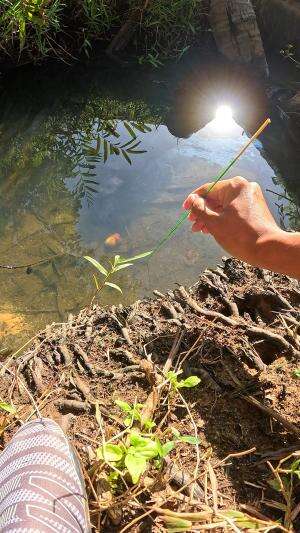 cara mancing orang jaman dulu #mancing #fishing #shrimp #udang #nelayan #laut #jaring #ikan #reelsviral #animals #skill #fyp #trending
