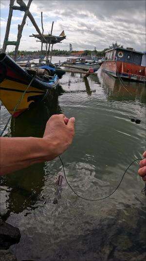 Gak Nyangka Banget Ternyata Dapet Banyak Udang 🦐😋