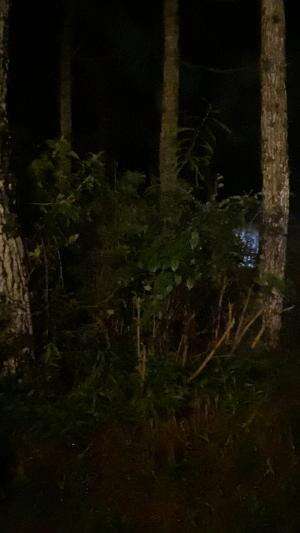 ISENG ISENG BIKIN KONTEN KEREN PUNCAK PERANTUNAN BANDUNGAN