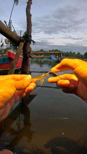 teknik rahasia nangkap udang #mancing #fishing #shrimp #udang #nelayan #laut #jaring #ikan #reelsviral #animals #skill #fyp #trending