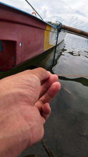 terlalu besar udang nya #mancing #fishing #shrimp #udang #nelayan #laut #jaring #ikan #reelsviral #animals #skill #fyp #trending