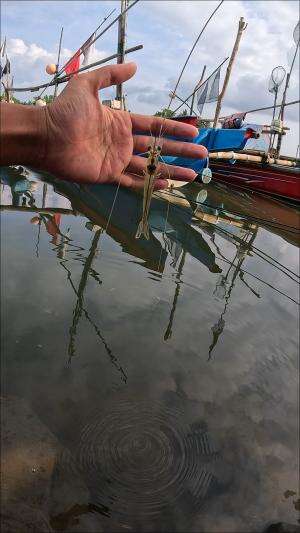 wow dapet udang yg lumayan besar