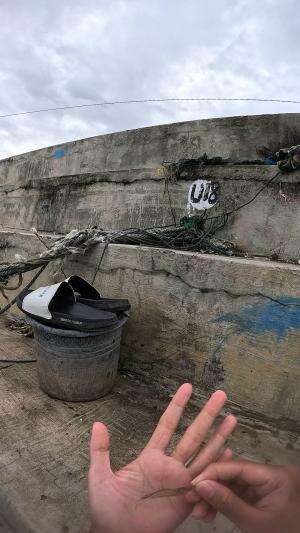 seru mancing udang #udang #nelayan #laut #jaring #ikan #fbpro #reels #reelsviral #duniaikan #skils #fyp #trending