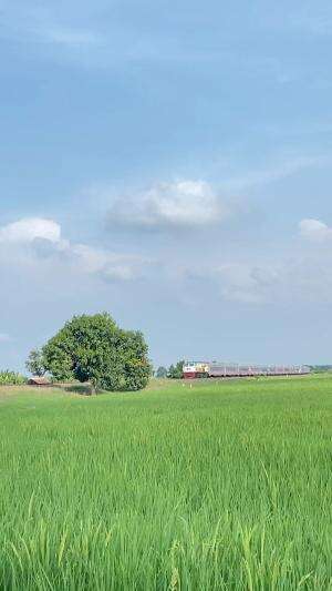  #HuntingKeretaApi  #Kereta Railfans  #Hobi Kereta 