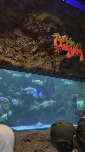 Keseruan di Sea World Ancol 🥰