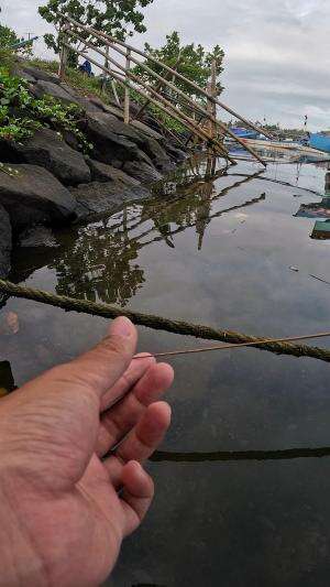 teknik mancing udang #mancing #fishing #shrimp #udang #nelayan #laut #jaring #ikan #reelsviral #animals #skill #fyp #trending