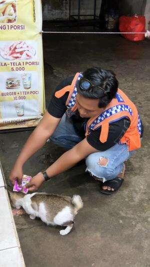 Kucing juga butuh makan🙏