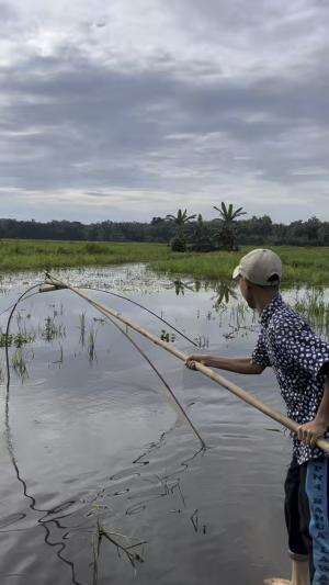 Cari ikan lihat hasilnya