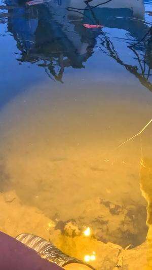 teknik tradisional mancing udang #mancing #fishing #shrimp #udang #nelayan #laut #jaring #ikan #reelsviral #animals #skill #fyp #trending