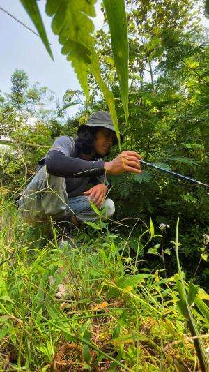 Diledekin ikan pas mancing