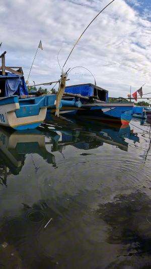 angkat pancing dapet udang babon #fishing #shrimp #fish #sea #traditional #usareels #UnitedStates #reelsviral #skils #fyp #trending