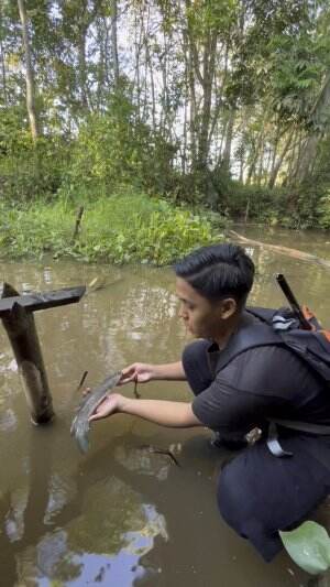 Janguk banjur ikan