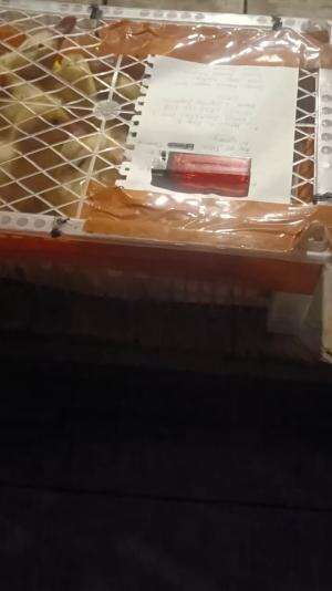 OTW Magelang , alhamdulillah #peternakmuda #menthokjumbo #muscovyduck