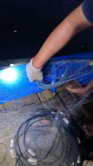 dapat ikan panjang lumayan besar  #trending 