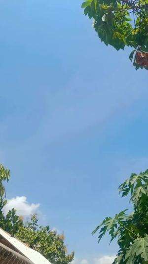 yang punya lahan atau pekarangan kosong bisa nih jadi peternak/pengusaha muda, kadang mikir kantoran gak selamanya tapi kalau berdayakan lah