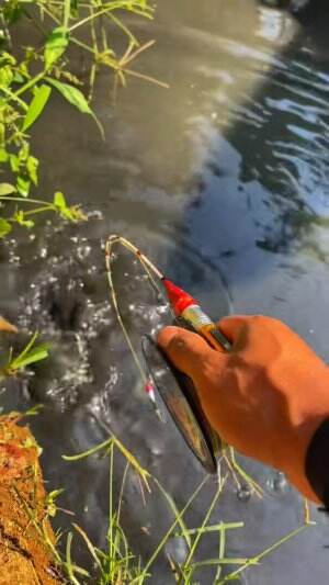 Gagal mancing gara-gara ini